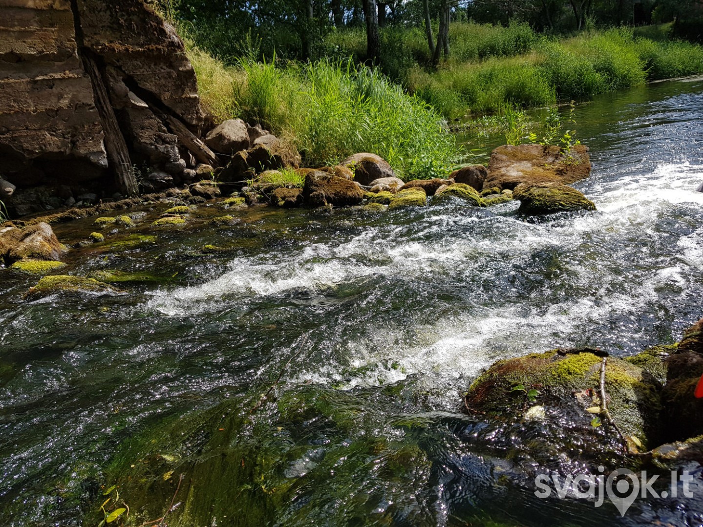 Baidarių žygis Anykščių rajone 4