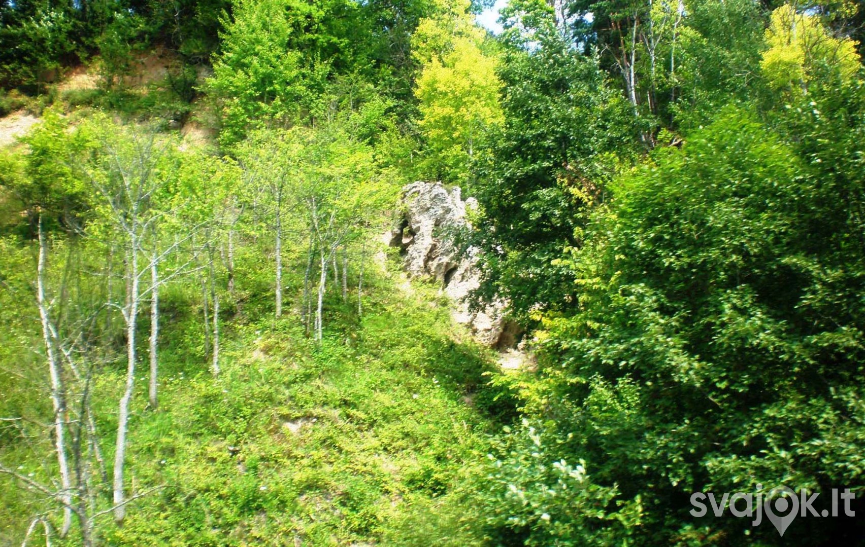 Pramoginių laivų nuoma kelionei Nemunu, Verkne 4