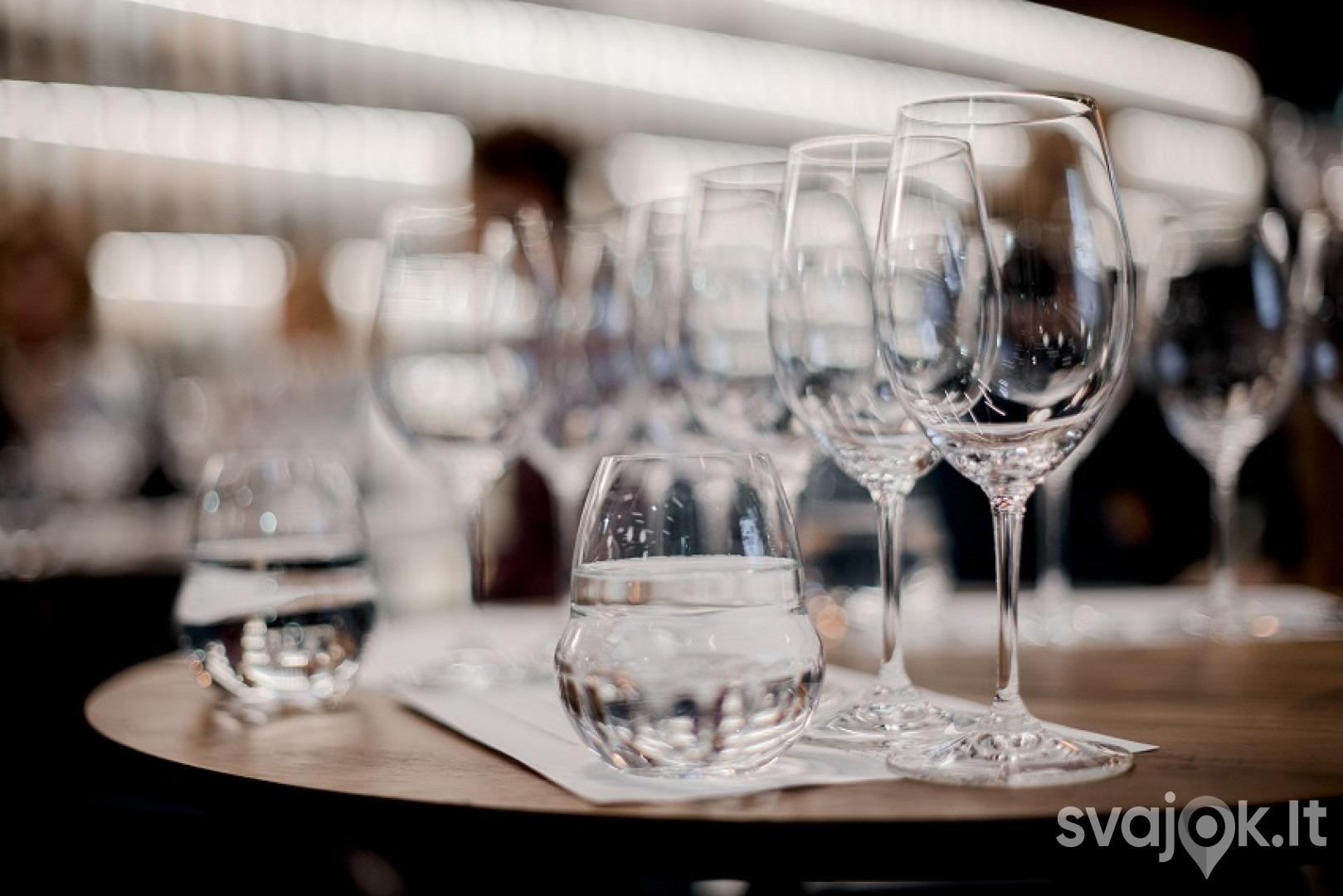 Privati vyno arba stipriųjų gėrimų degustacija 4
