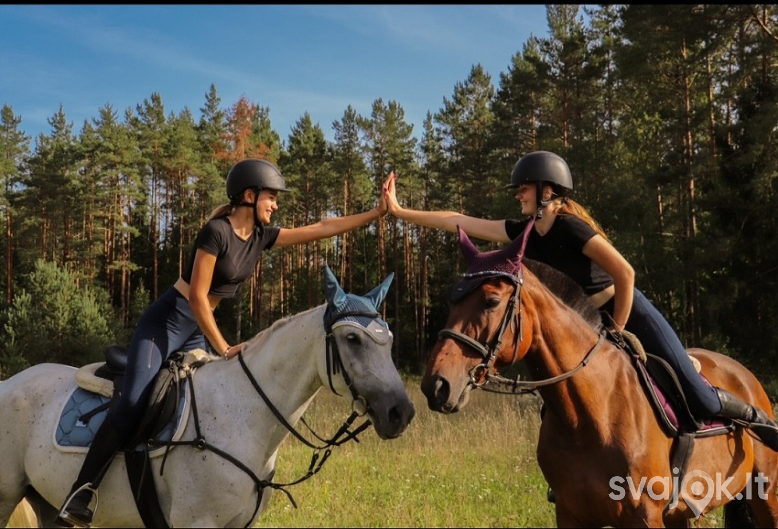 Popietė su žirgais Trakų rajone 1