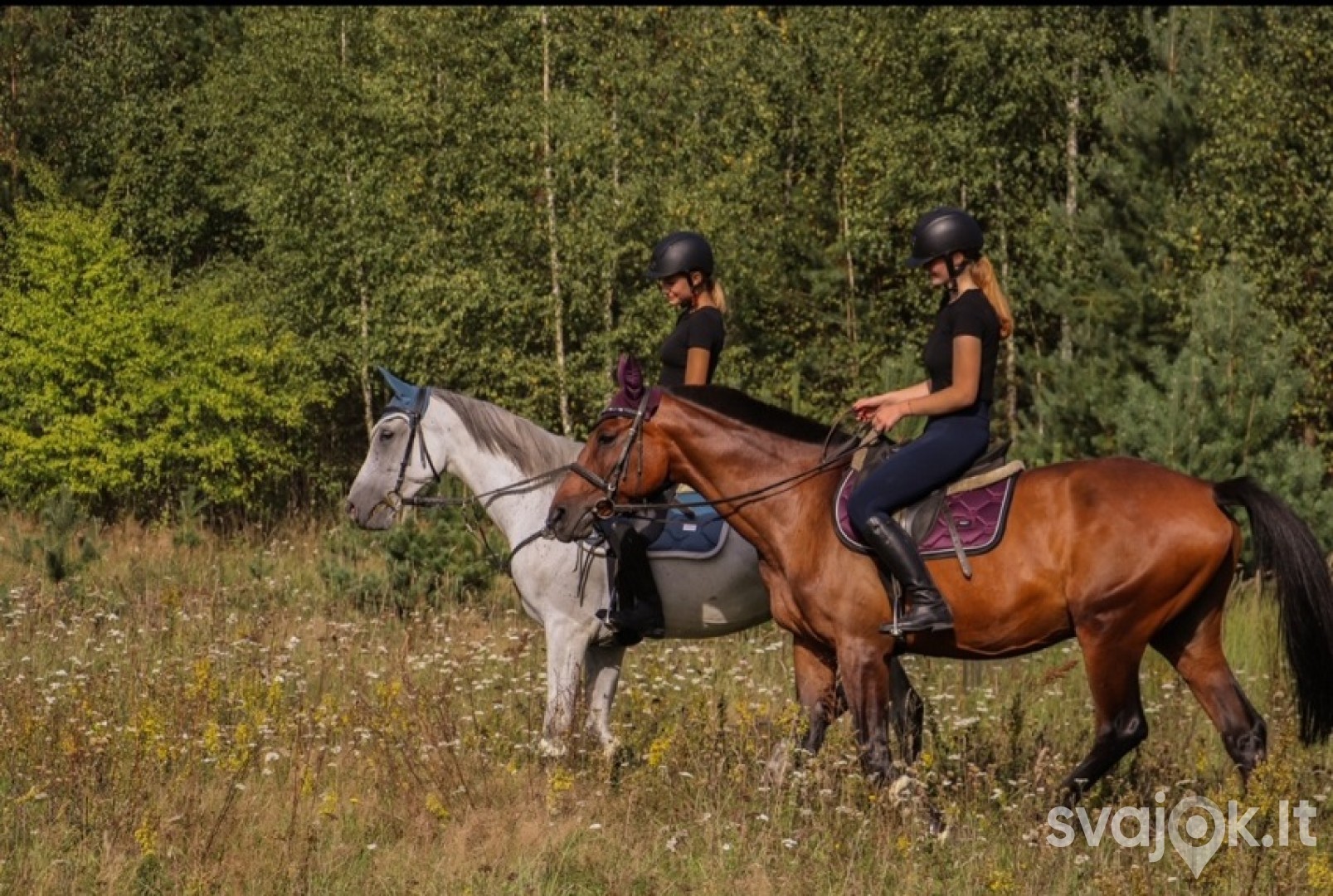 Popietė su žirgais Trakų rajone 3
