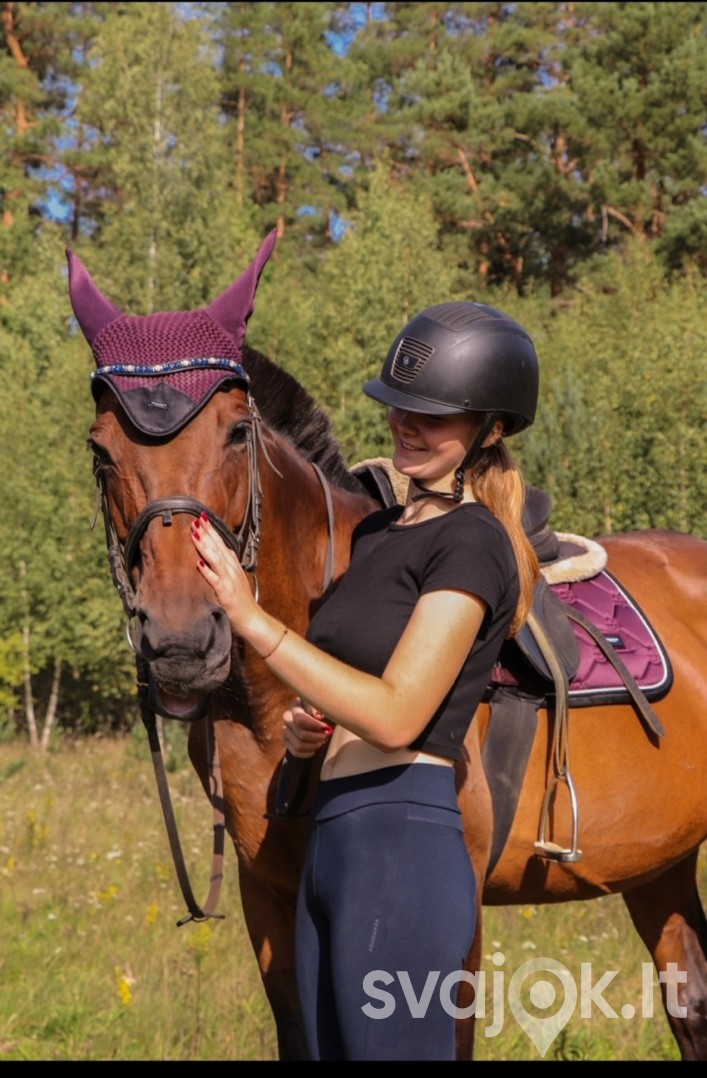 Popietė su žirgais Trakų rajone 4