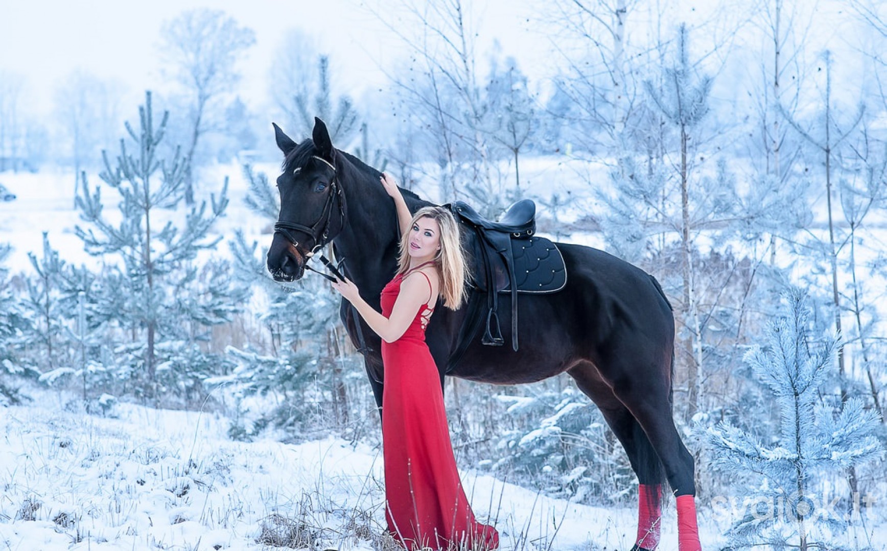 Fotosesija su žirgais - Jūsų šventei! 2