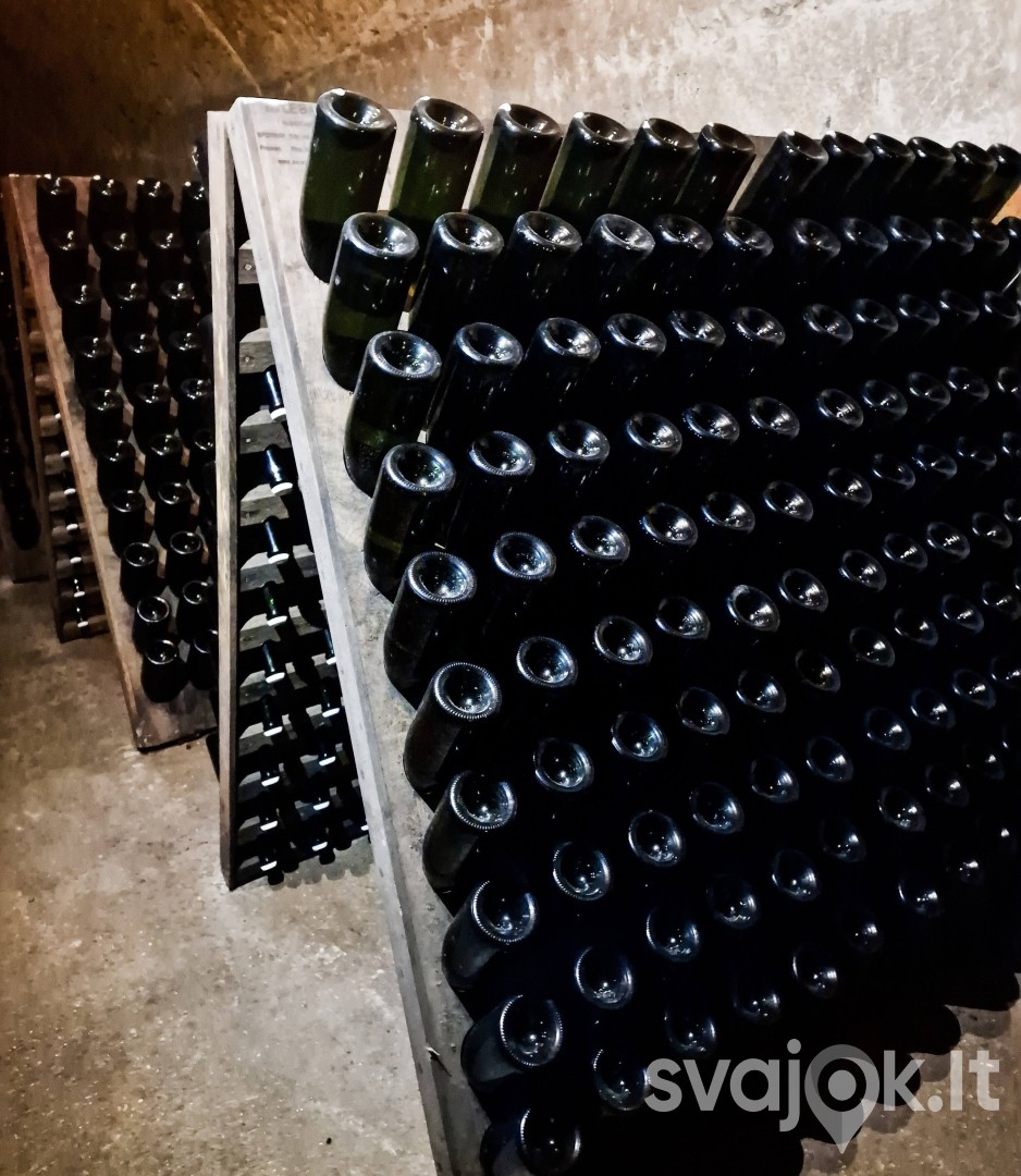 Degustacija "Gilyn į Šampanę" - penkių šampanų degustacija 4
