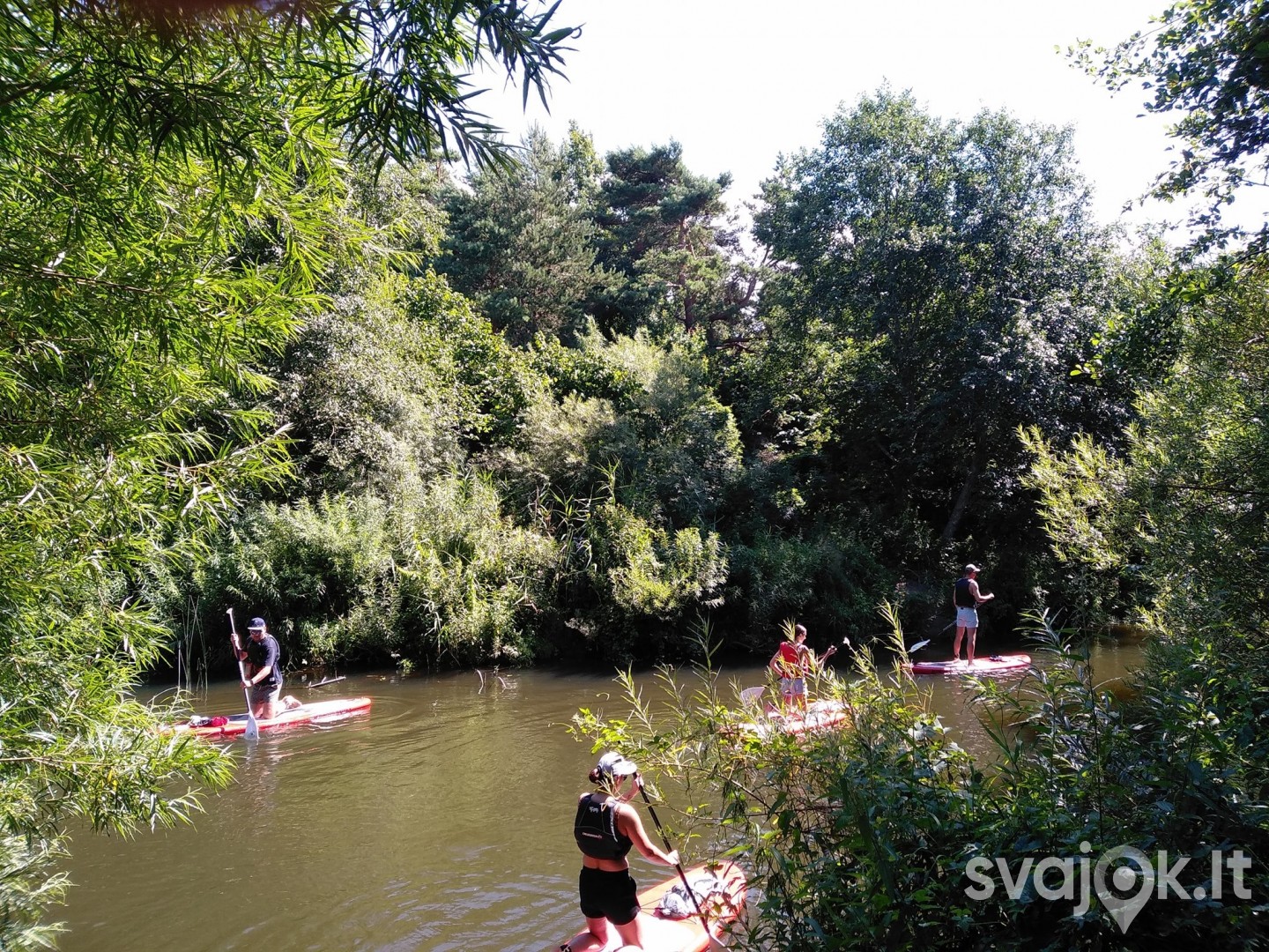Irklenčių (SUP) turas jūroje arba upėje 7