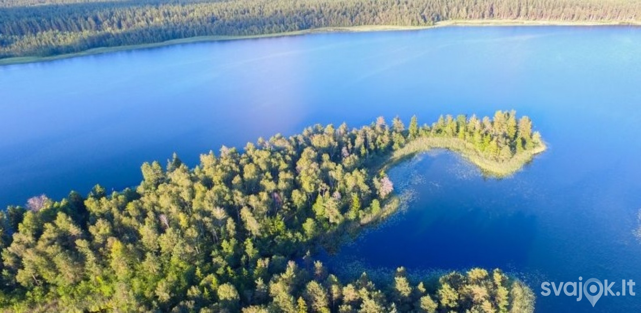 Baluošo ežero ilgasalė sala 3