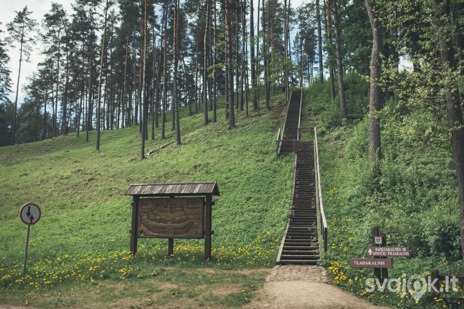 Ginučių piliakalnis 1