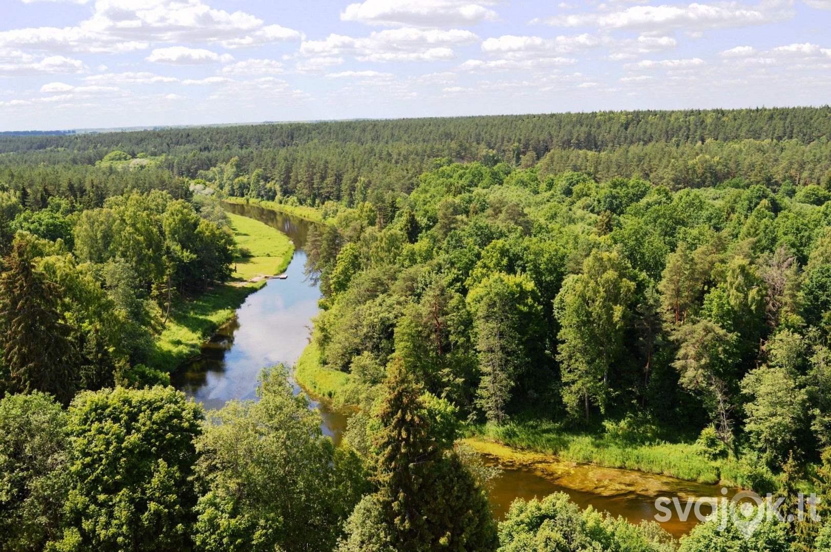 Medžių lajų takas 3