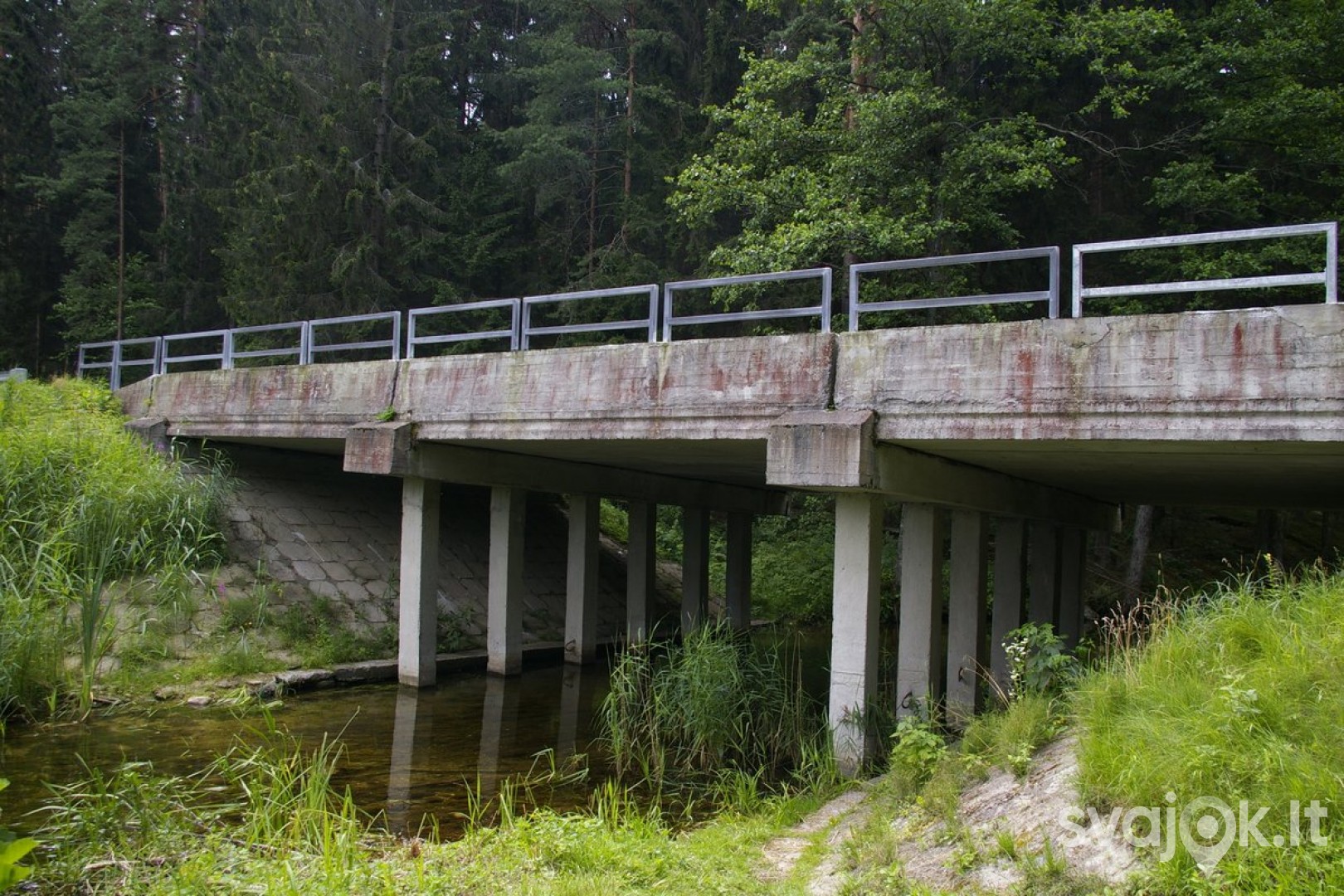 Žaliasis takas 4