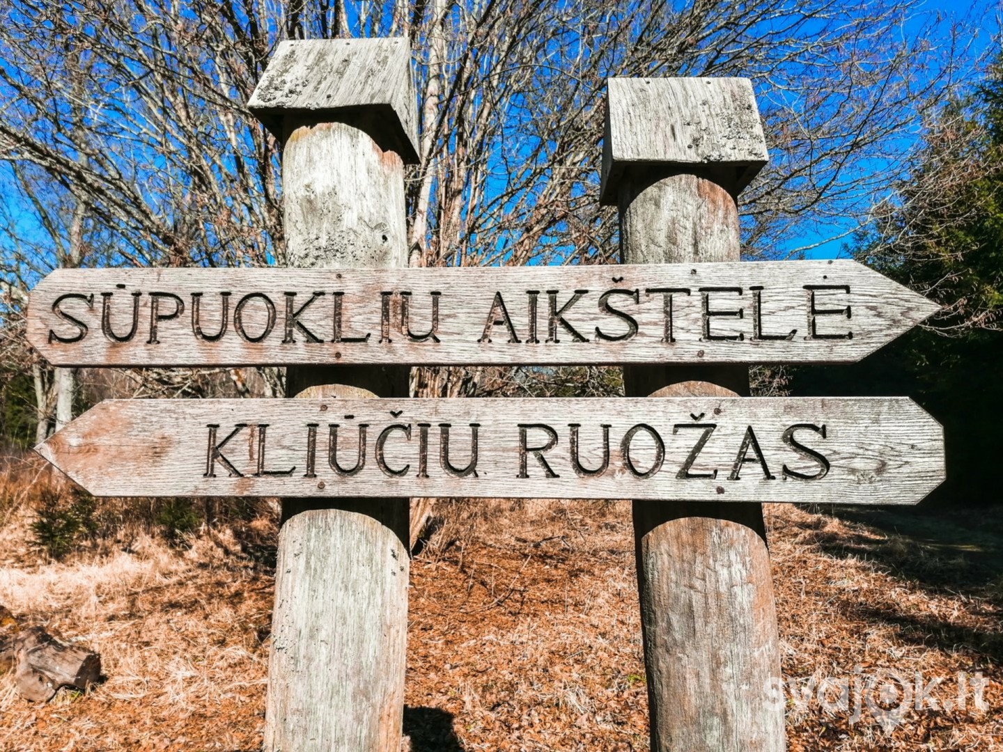 Jomantų miško pažintinis takas 1