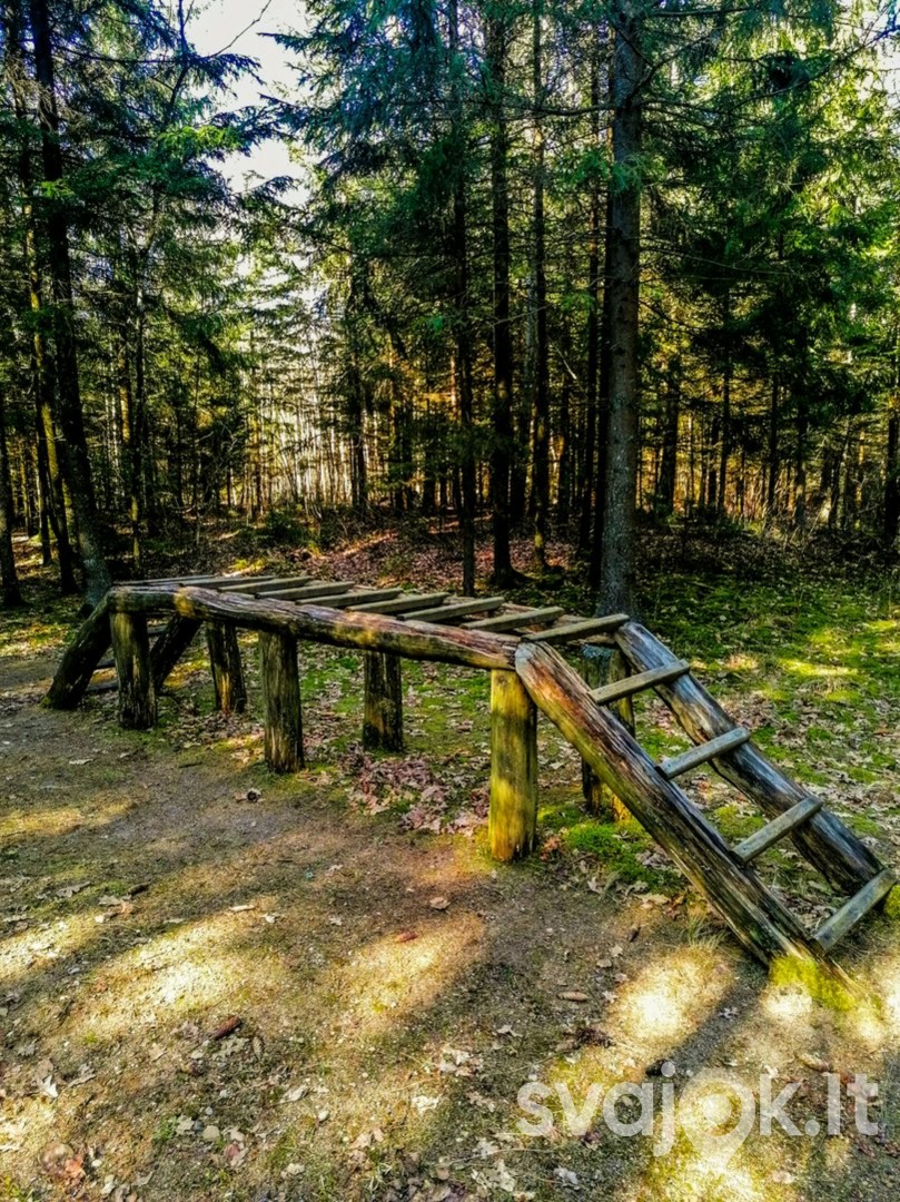 Jomantų miško pažintinis takas 2