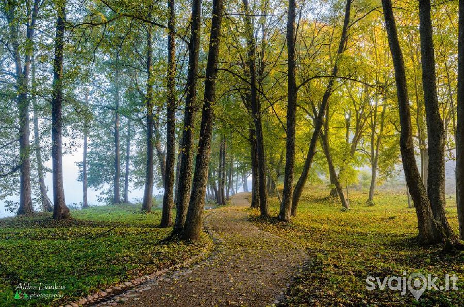 Vainežerio parkas 5
